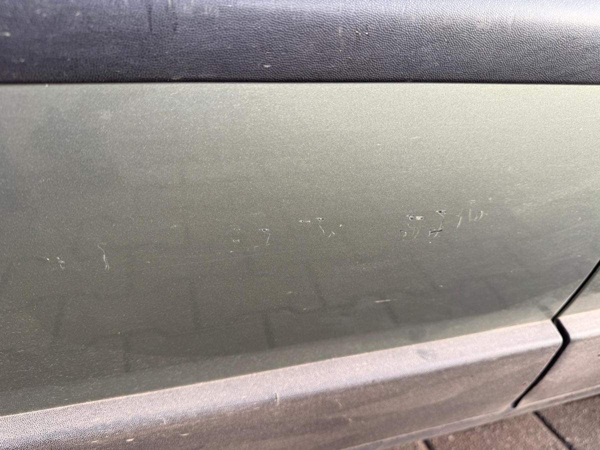 VW Passat 3BG original Tür hinten rechts LA6W Frescogrün Limousine Rohbau BJ01